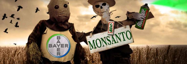 Honduras: Supreme Court uses UNDROP article 19 on the right to seeds to declare unconstitutional the Monsanto Law