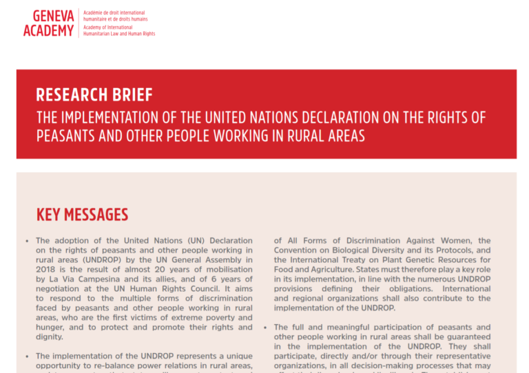 Research brief: The implementation of the United Nations Declaration on the Rights of Peasants and Other People Working in Rural Areas