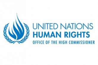 1st anniversary of the UNDROP – Joint statement by UN human rights experts*