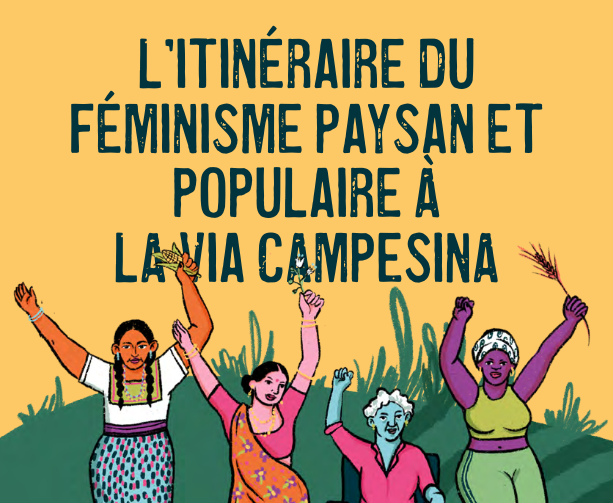 L’itinéraire du féminisme paysan populaire à La Via Campesina – illustré