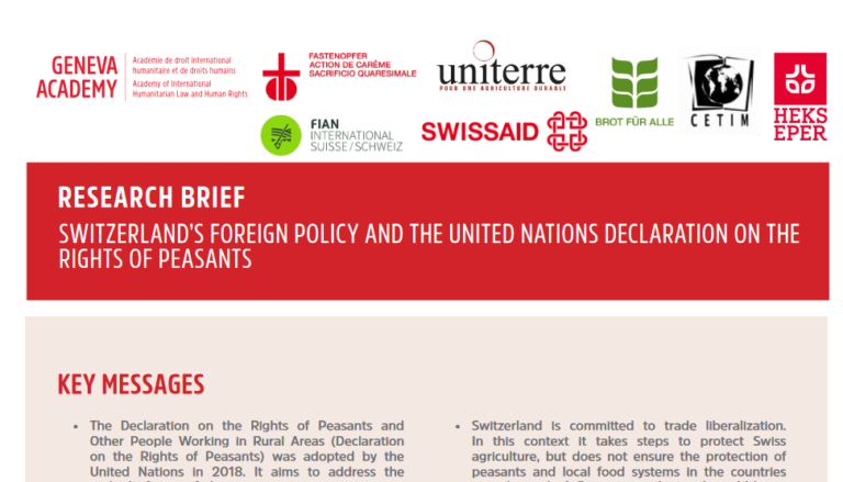 Research brief: Switzerland’s foreign policy and the UNDROP