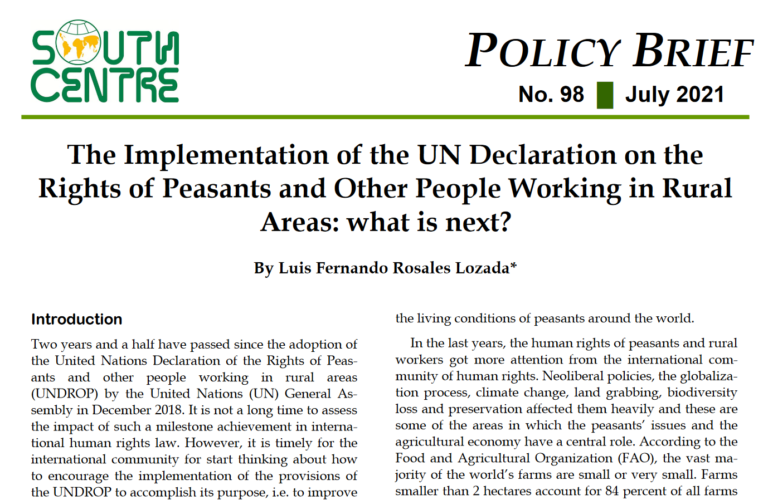 La implementación de la UNDROP: ¿qué sigue?