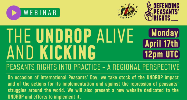 Videos of our webinar : The UNDROP Alive and Kicking, Peasants’ Rights in practice – A regional perspective