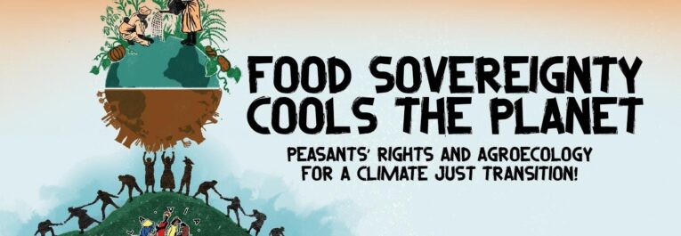 Peasant agriculture: a key element in the fight against the climate crisis
