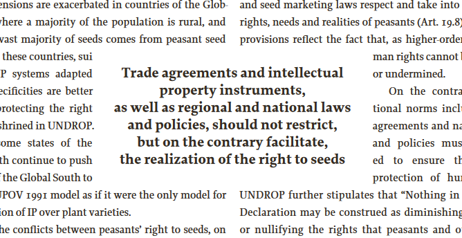 Reasearch Brief: The Right to Seeds in Africa