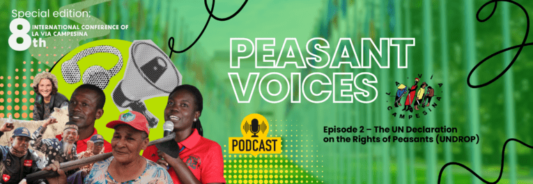Podcast Peasant Voices | Episode 2 – The UN Declaration on the Rights of Peasants (UNDROP)