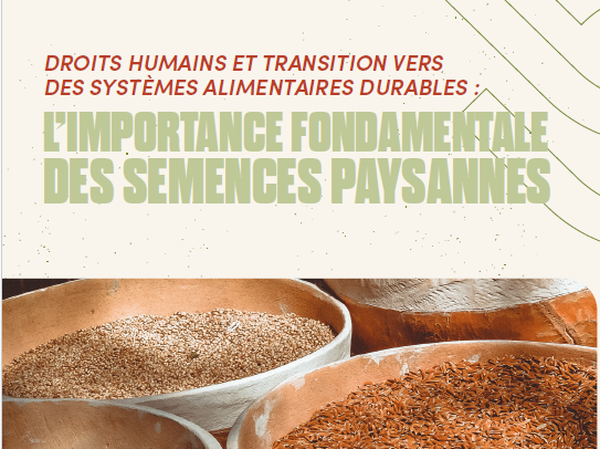 Droits humains et transition vers des systèmes alimentaires durables : L’importance fondamentales des semences paysannes.