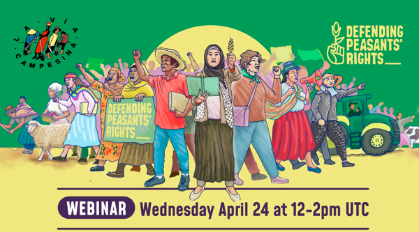 Webinar – The next chapter in the struggle for UNDROP: learning about the new UN Working Group