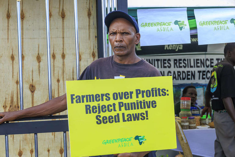 Kenyan Farmers Challenge the Constitutionality of Seed Law