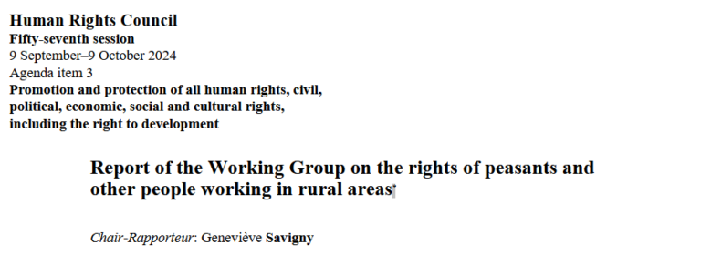 Premier rapport du Groupe de travail de l’ONU sur l’UNDROP