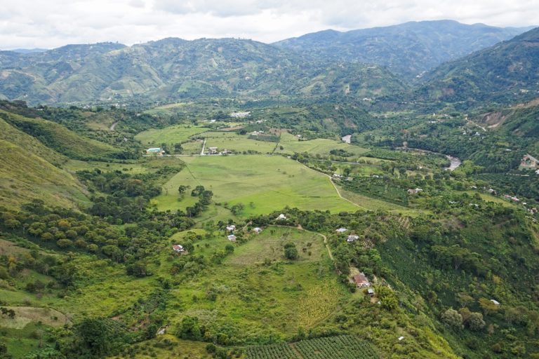 Hacia un reconocimiento internacional de la dimensión ambiental del campesinado. Rutas desde la Convención sobre Diversidad Biológica