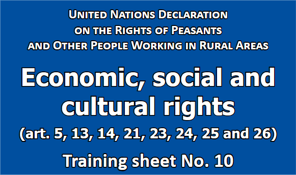 Economic, Social and Cultural Rights in UNDROP