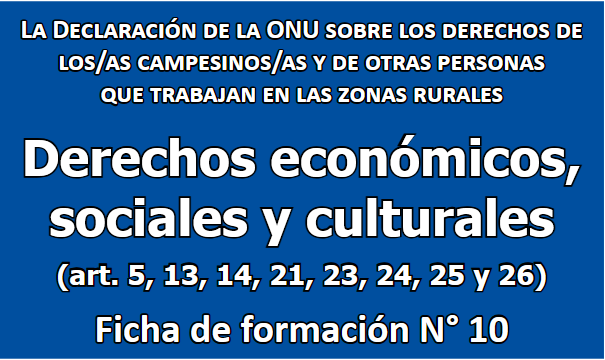 Derechos económicos, sociales y culturales en la UNDROP