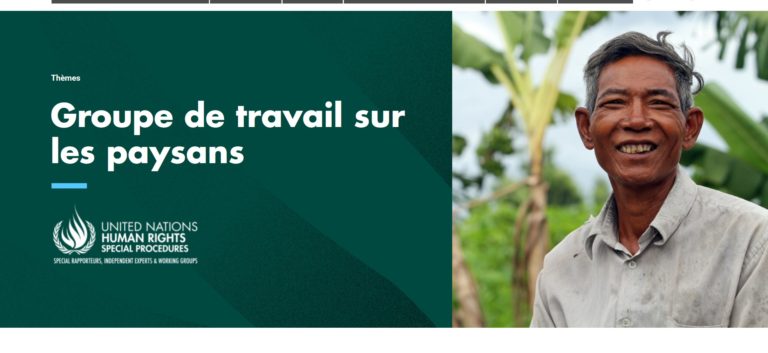 Réponses au 1er appel à contributions du Groupe de travail de l’ONU sur l’UNDROP