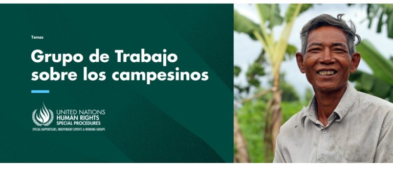 Respuestas a la 1ª llamada a contribuciones del Grupo de Trabajo de la ONU sobre UNDROP