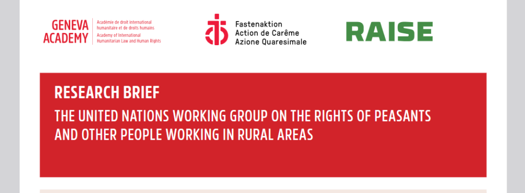 The United Nations Working Group on the Declaration on the Rights of ...
