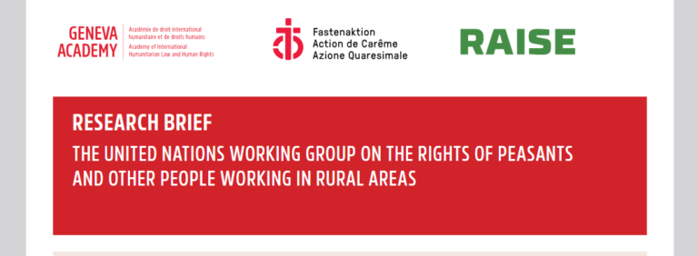 The United Nations Working Group on the Declaration on the Rights of Peasants and Other People Working in Rural Areas