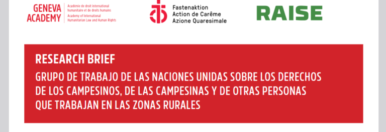 Grupo de trabajo de la ONU sobre la Declaración de los Dereochos de la Campesinos, Campesinas y Otras Personas que trabajan en las zonas rurales