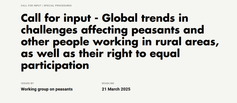 Call for input – Global trends in challenges affecting peasants and other people working in rural areas, as well as their right to equal participation