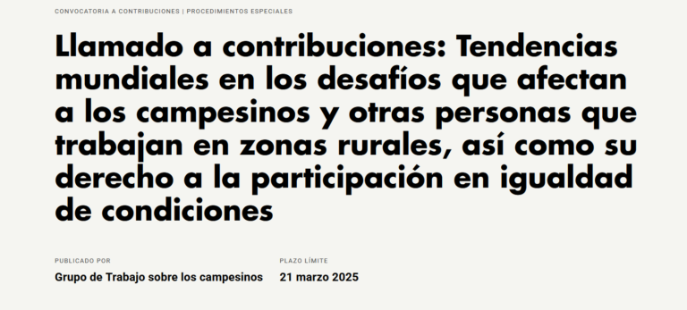 Llamado a contribuciones: Tendencias mundiales en los desafíos que afectan a los campesinos y otras personas que trabajan en zonas rurales, así como su derecho a la participación en igualdad de condiciones