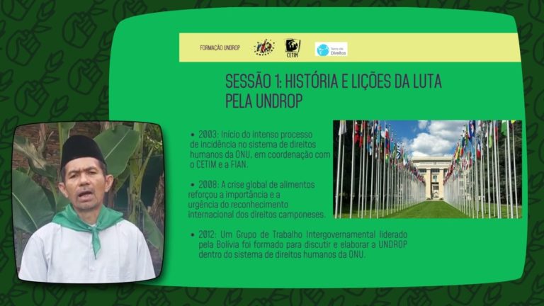 FORMAÇÃO SOBRE A UNDROP – SESSÃO 1 “HISTÓRIA E LIÇÕES DA LUTA PELA UNDROP”