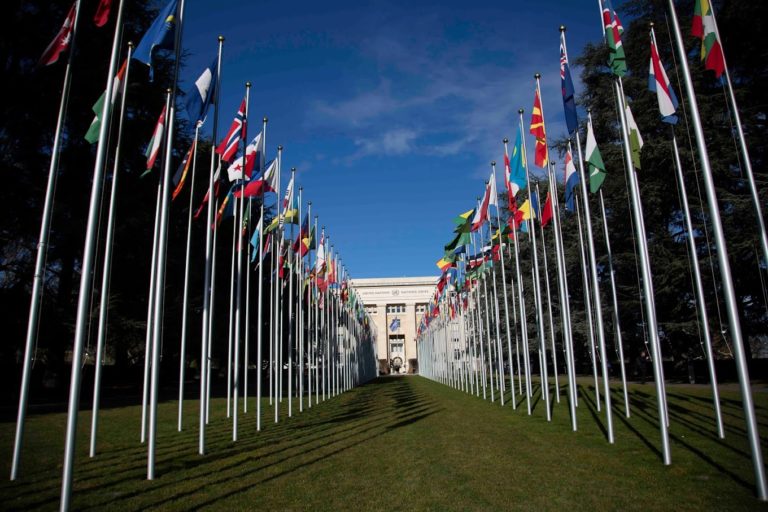 UN experts urge binding accountability for agribusiness to safeguard peasants’ rights and global food security