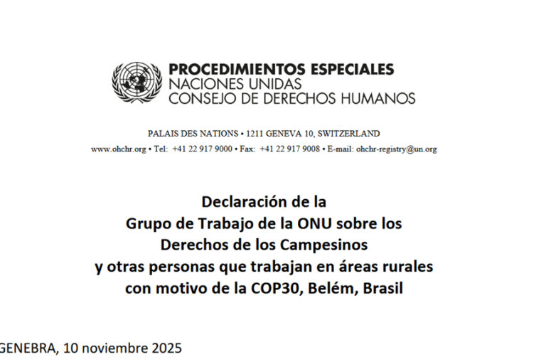 Declaración del Grupo de Trabajo de la ONU sobre los Derechos de los Campesinos y otras personas que trabajan en áreas rurales con motivo de la COP30, Belém, Brasil