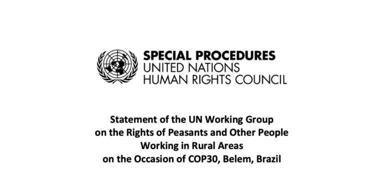 Déclaration du Groupe de travail de l’ONU sur les droits des paysan.ne.s et des autres personnes travaillant dans les zones rurales à l’occasion de la COP30