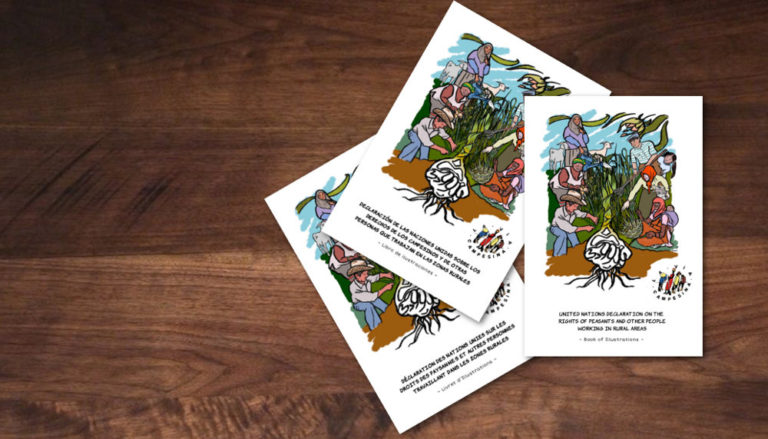 17 de diciembre: Séptimo aniversario de la UNDROP