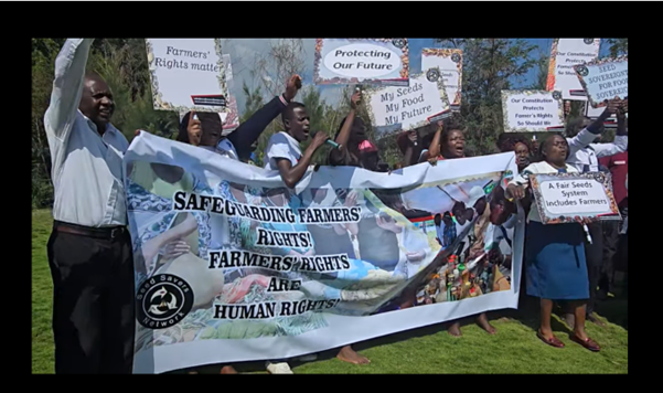 Victoria histórica para los/as campesinos/as kenianos y la soberanía semillera