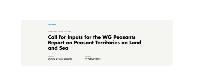 Call for Inputs for the WG Peasants Report on Peasant Territories on Land and Sea