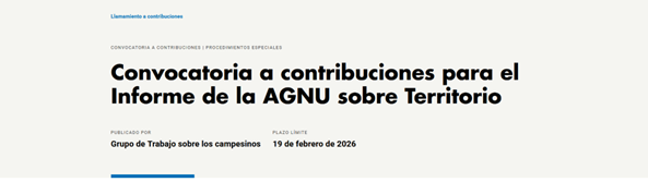 Convocatoria a contribuciones para el Informe de la AGNU sobre Territorio
