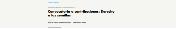 Llamado a contribuciones: Informe del Grupo de trabajo UNDROP sobre el derecho a las semillas
