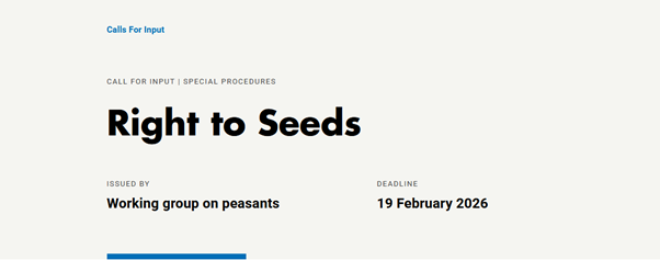 Call for Inputs: Report of the UNDROP Working Group on the Right to Seeds