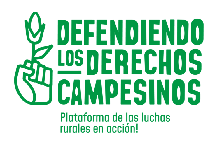 Boletín n°9 | Soberanía semillera: avances y retrocesos en el derecho a las semillas