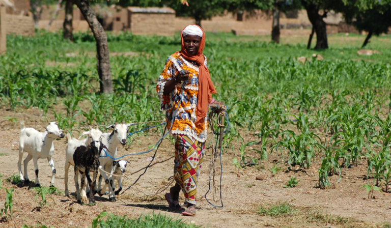 Burkina Faso : El campesinado, una semilla del cambio?