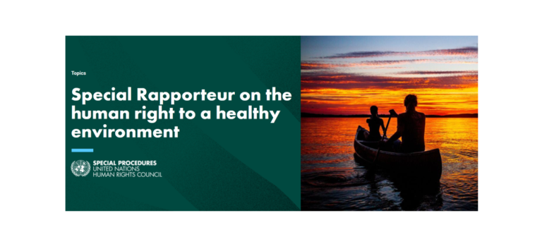 Call for Input: Environmental human rights defenders and the human right to a clean, healthy and sustainable environment