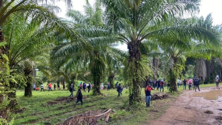 Les communautés paysannes, autochtones et afrodescendantes sont la cible d&rsquo;attaques au Honduras