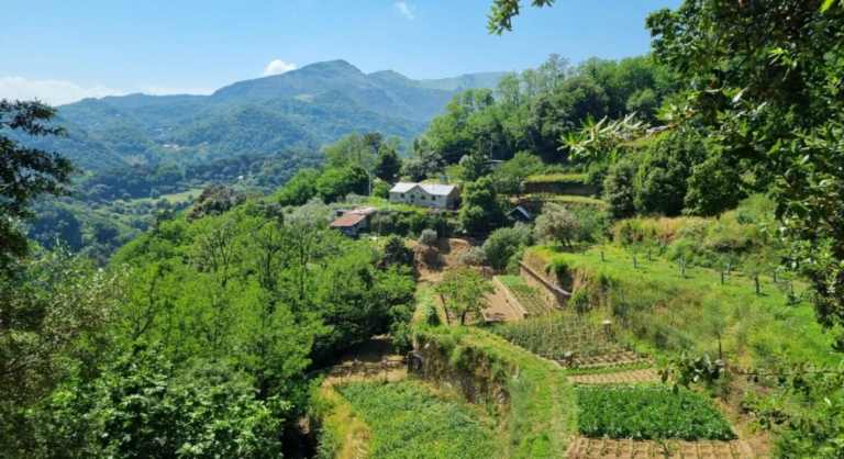 Without land, without seeds, there is no future for farmers