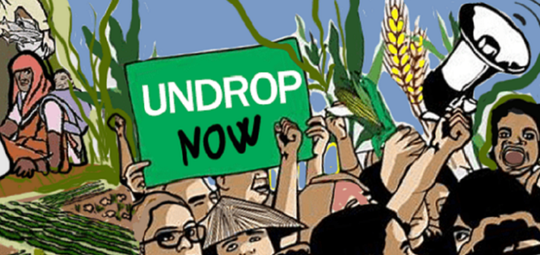 The Growing Centrality of UNDROP in the International Governance of the Rights of Peasants and Other People Working in Rural Areas